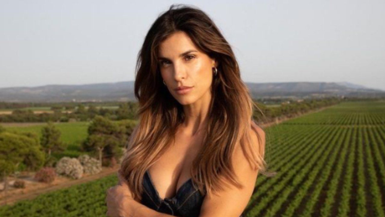 elisabetta canalis