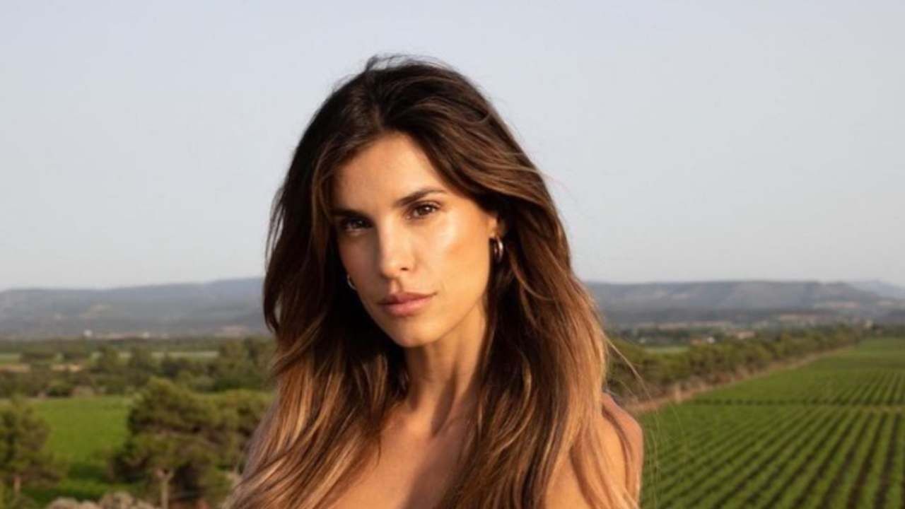 "Potevi anche toglierlo": Elisabetta Canalis, il reggiseno non copre le sue curve: fan in delirio - FOTO