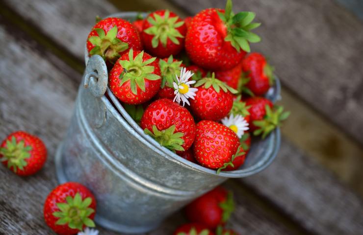 Merendina fragole bambini