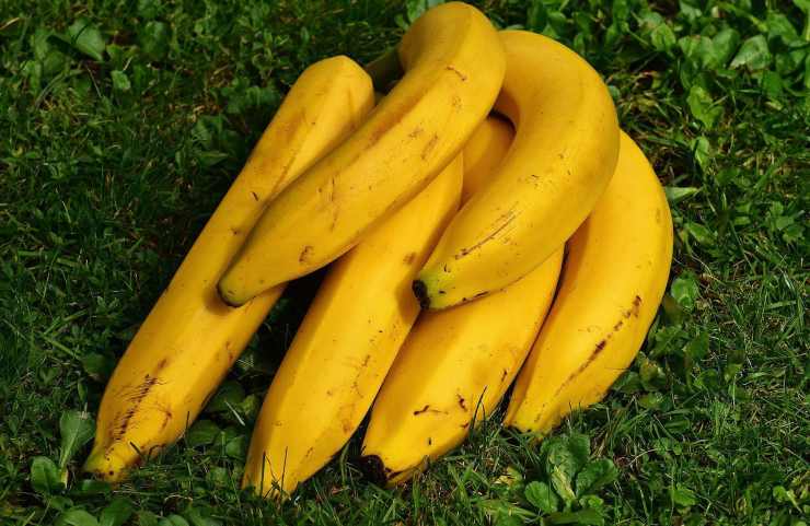 Banane