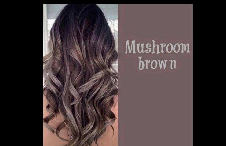 Mushroom brown