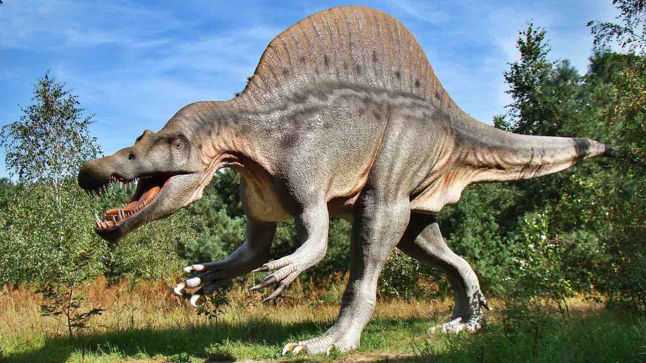 dinosauro dettaglio uomo