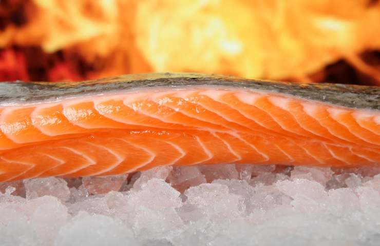 Omega 3 salmone