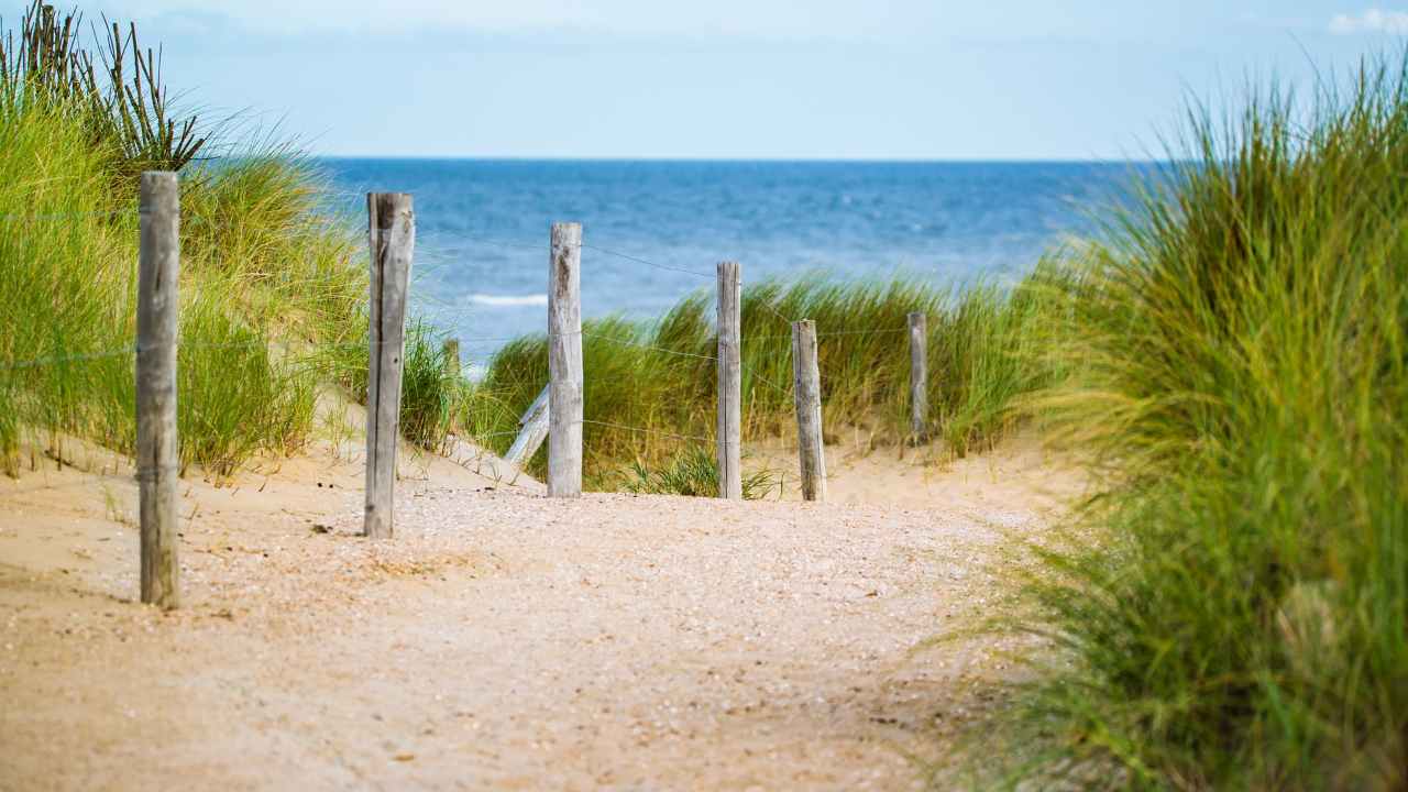 Scoperta tossico spiaggia