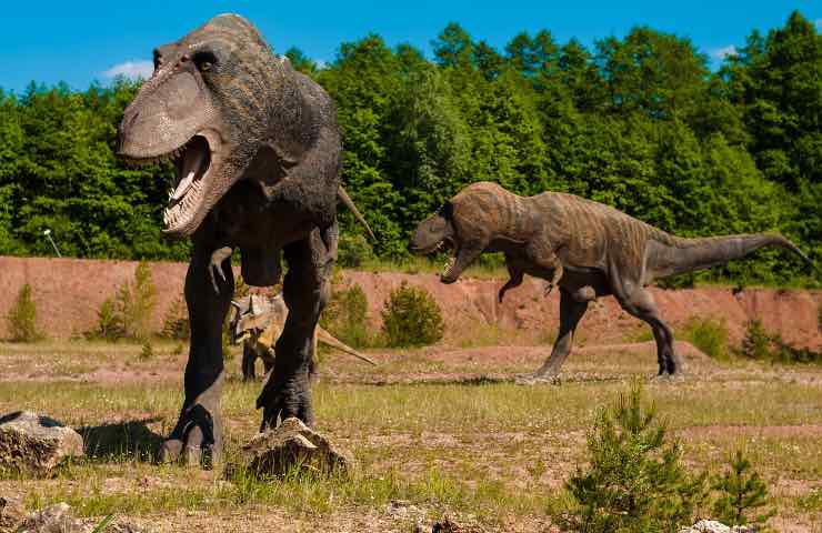 scoperte impronte dinosauro