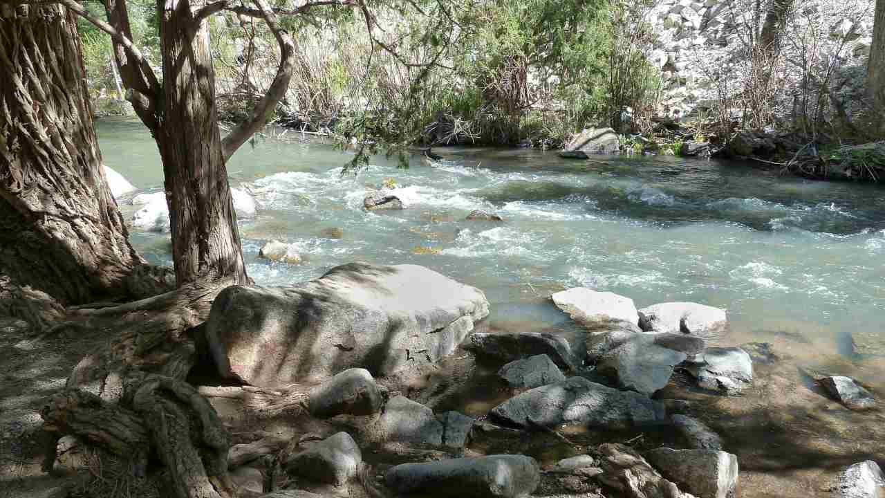 Avvistamento fiume coccodrillo