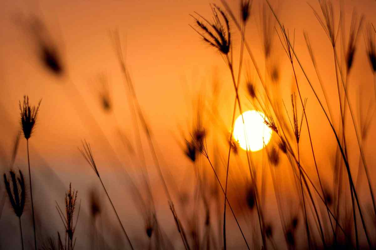 Meteo Febbraio svolta improvvisa